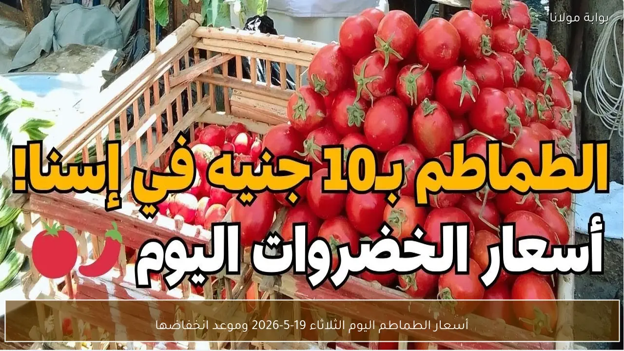 أسعار الطماطم اليوم الثلاثاء 19-5-2026 وموعد انخفاضها