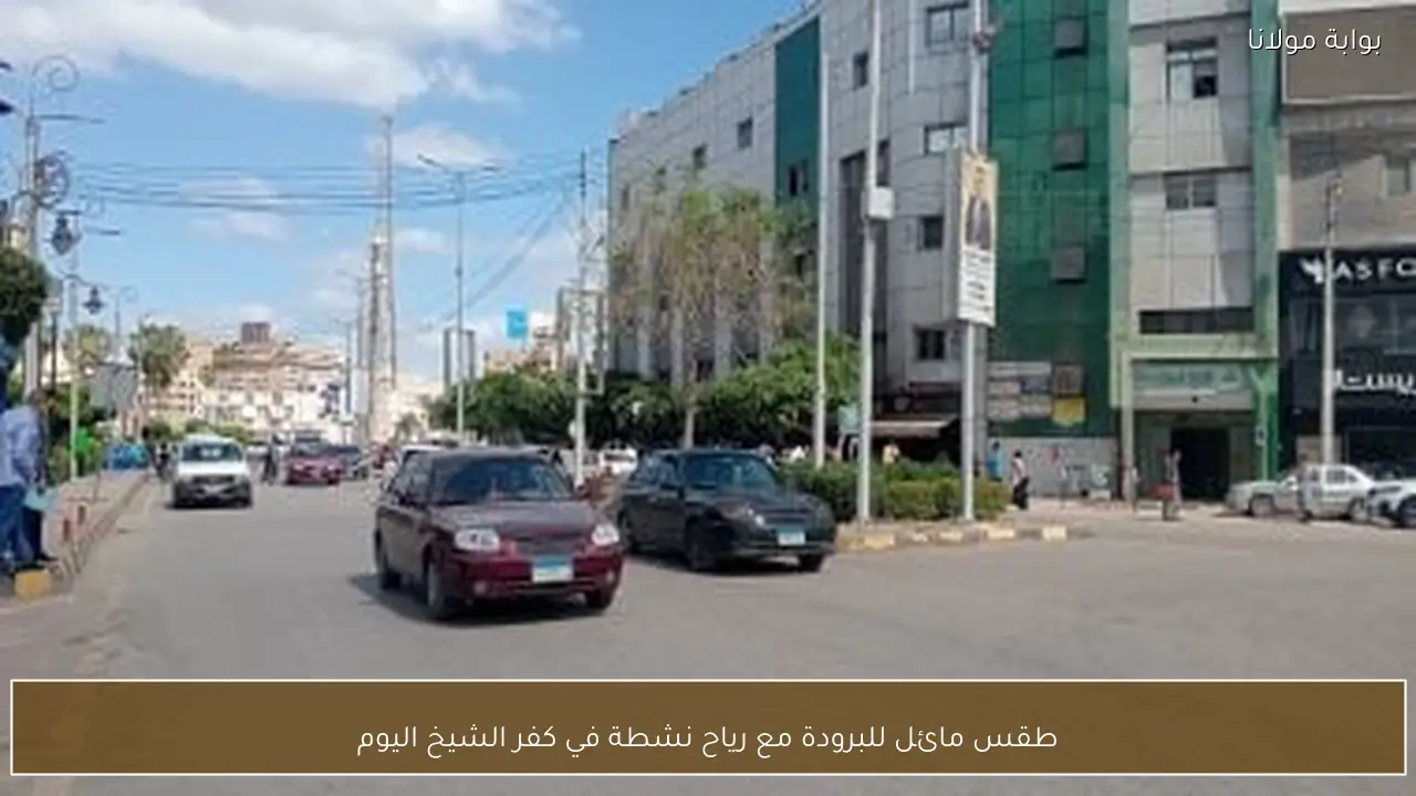 طقس مائل للبرودة مع رياح نشطة في كفر الشيخ اليوم