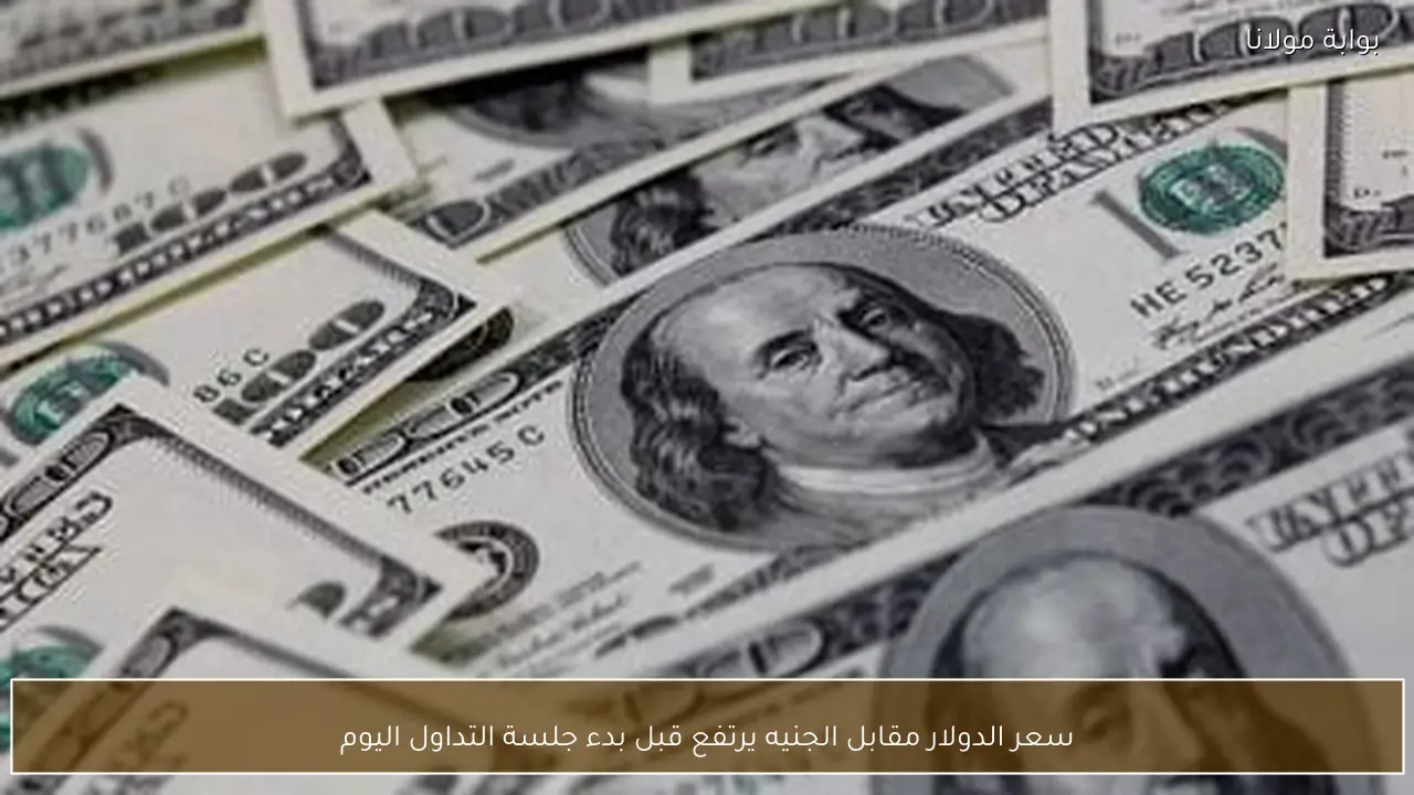 سعر الدولار اليوم في مصر.. استقرار ملحوظ بالبنوك رغم تقلبات السوق