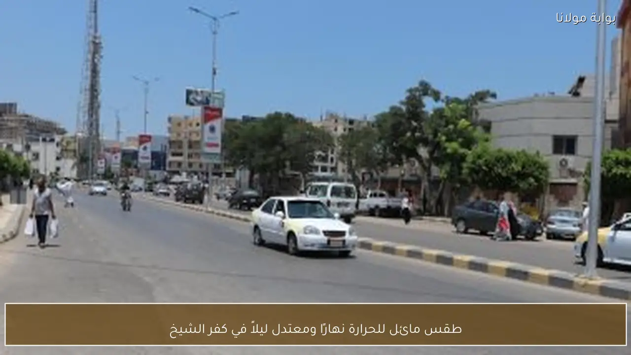 طقس مائل للحرارة نهارًا ومعتدل ليلاً في كفر الشيخ