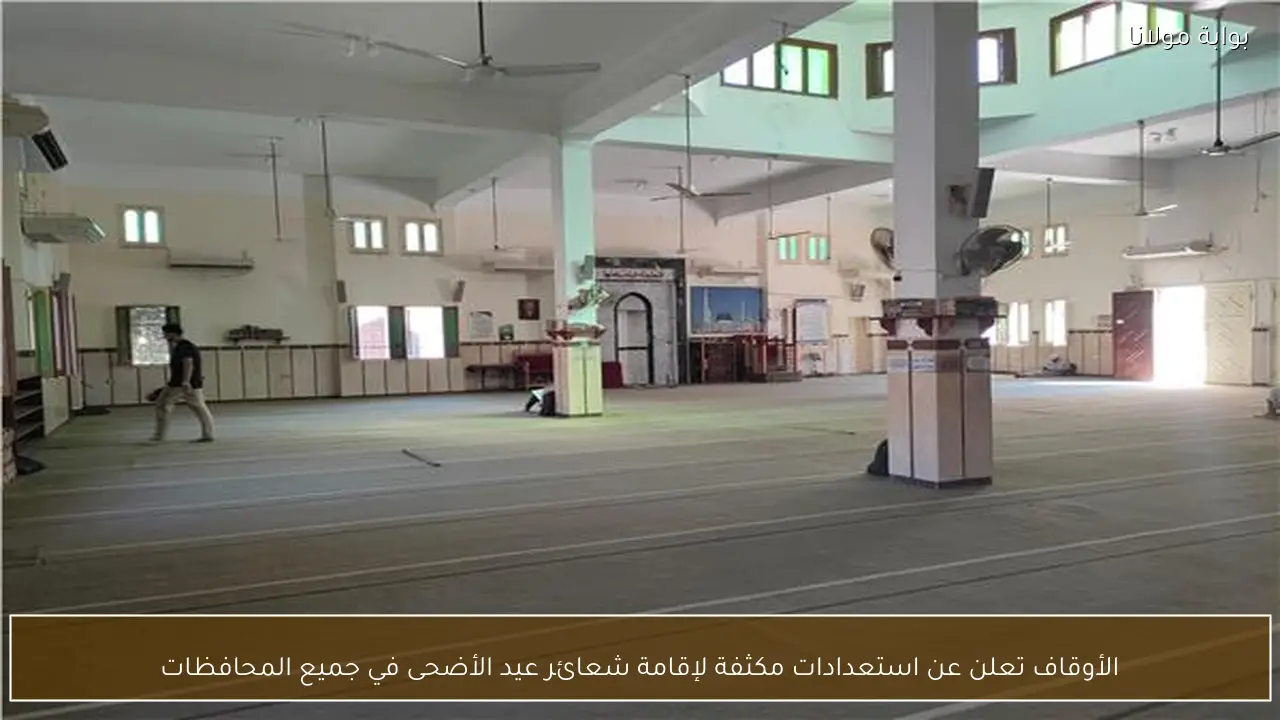 الأوقاف تعلن عن استعدادات مكثفة لإقامة شعائر عيد الأضحى في جميع المحافظات