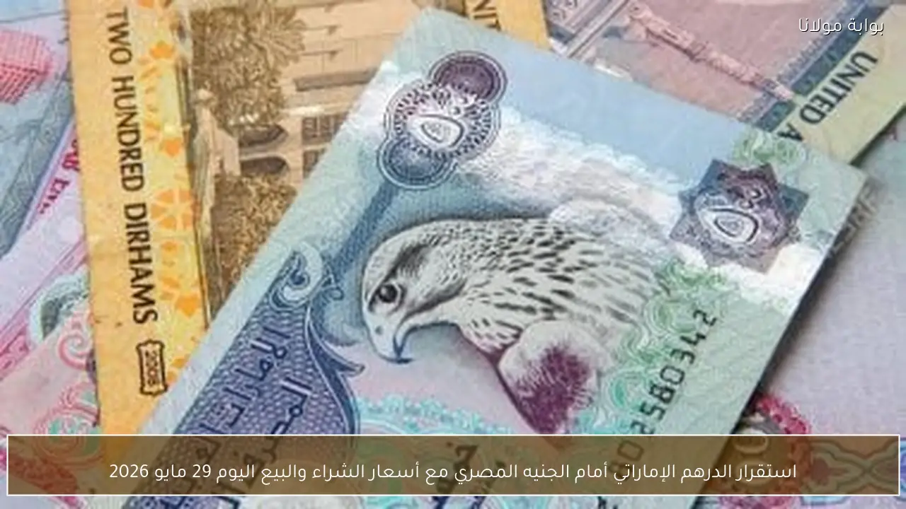 استقرار الدرهم الإماراتي أمام الجنيه المصري مع أسعار الشراء والبيع اليوم 29 مايو 2026
