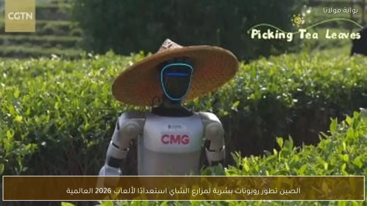 الصين تطور روبوتات بشرية لمزارع الشاي استعدادًا لألعاب 2026 العالمية