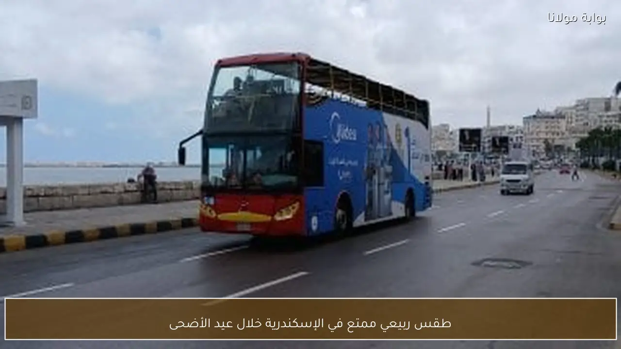 طقس ربيعي ممتع في الإسكندرية خلال عيد الأضحى