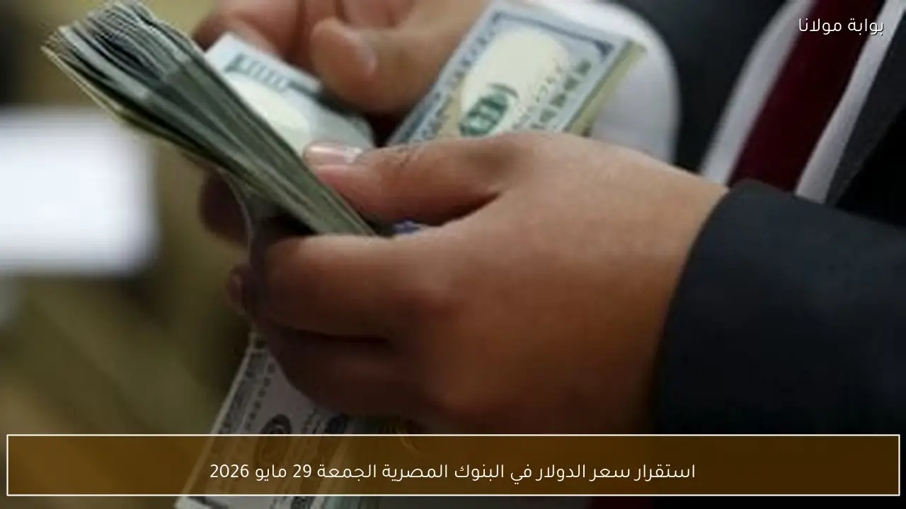 استقرار سعر الدولار في البنوك المصرية الجمعة 29 مايو 2026