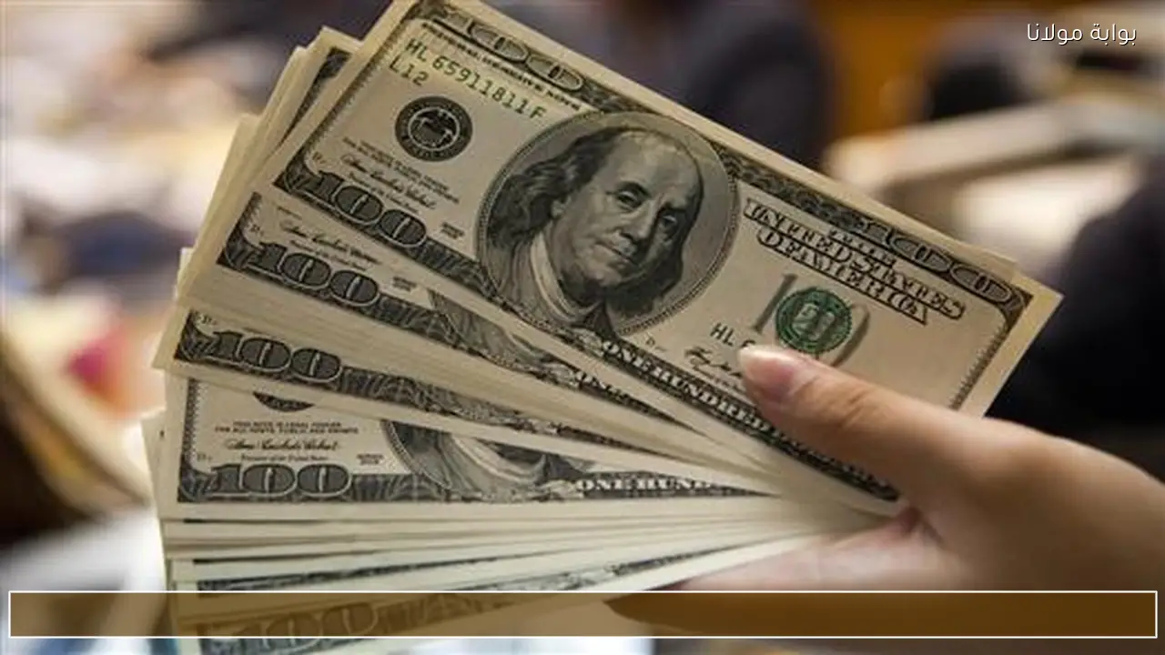 ارتفاع الأخضر.. سعر الدولار مقابل الجنيه المصري اليوم 11 مايو 2026 في البنوك المصرية