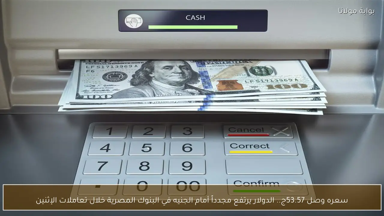 سعره وصل 53.57ج.. الدولار يرتفع مجدداً أمام الجنيه في البنوك المصرية خلال تعاملات الإثنين