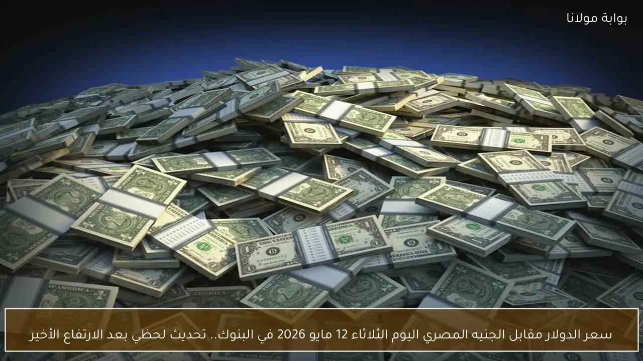 تحديث سعر الدولار مقابل الجنيه المصري اليوم الثلاثاء 12 مايو 2026 في البنوك بعد الارتفاع الأخير