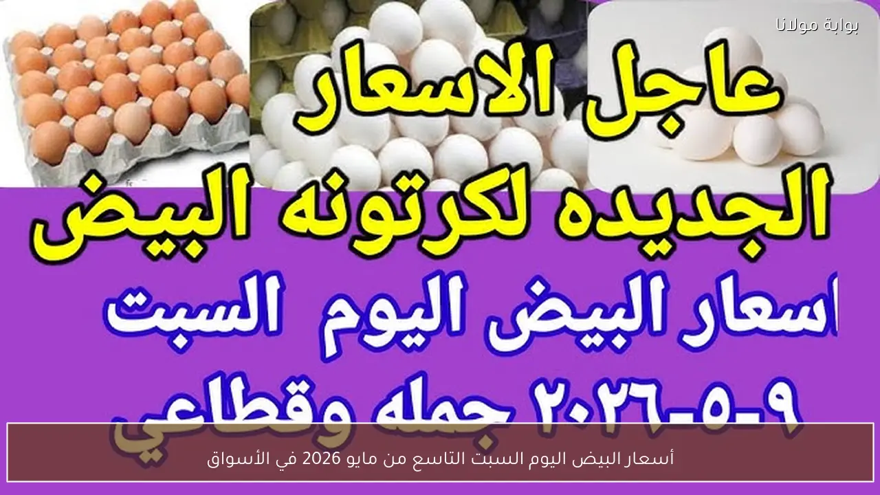 أسعار البيض اليوم السبت التاسع من مايو 2026 في الأسواق