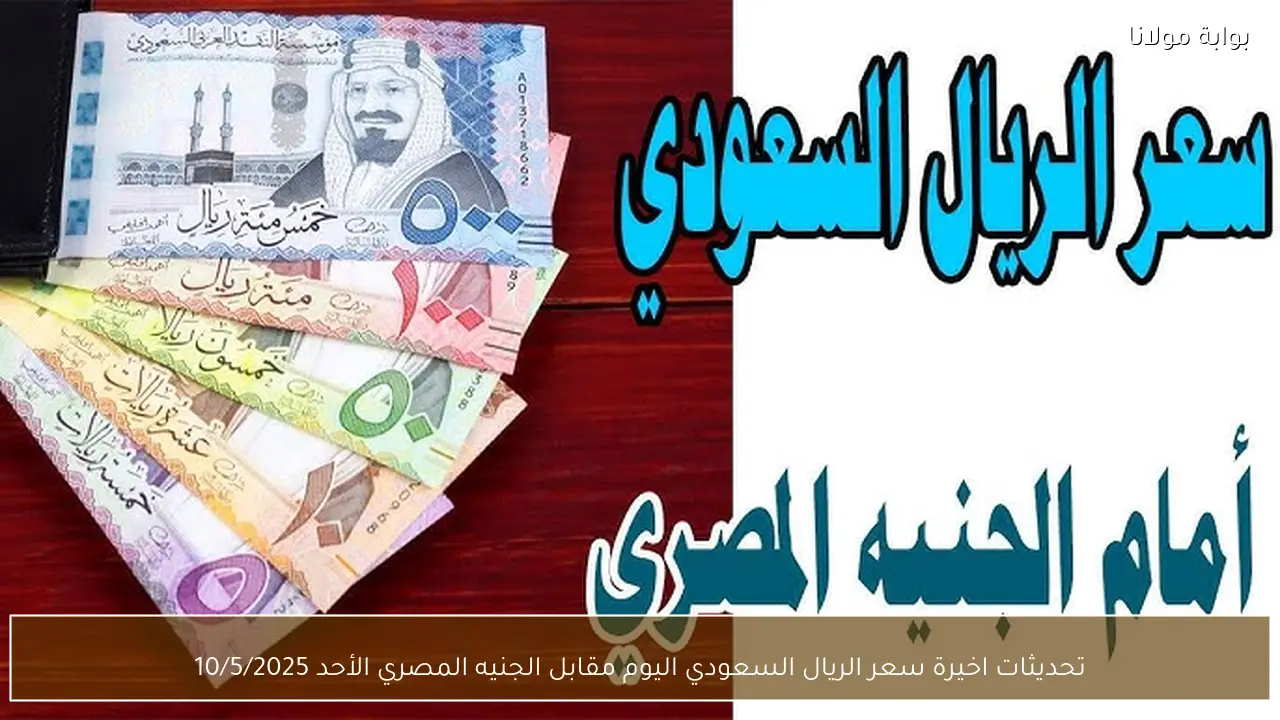 تحديثات اخيرة سعر الريال السعودي اليوم مقابل الجنيه المصري الأحد 10/5/2025