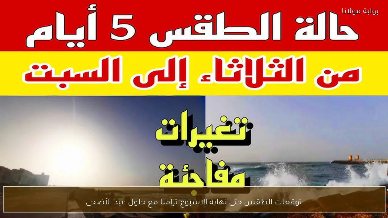 توقعات الطقس حتى نهاية الأسبوع تزامنا مع حلول عيد الأضحى