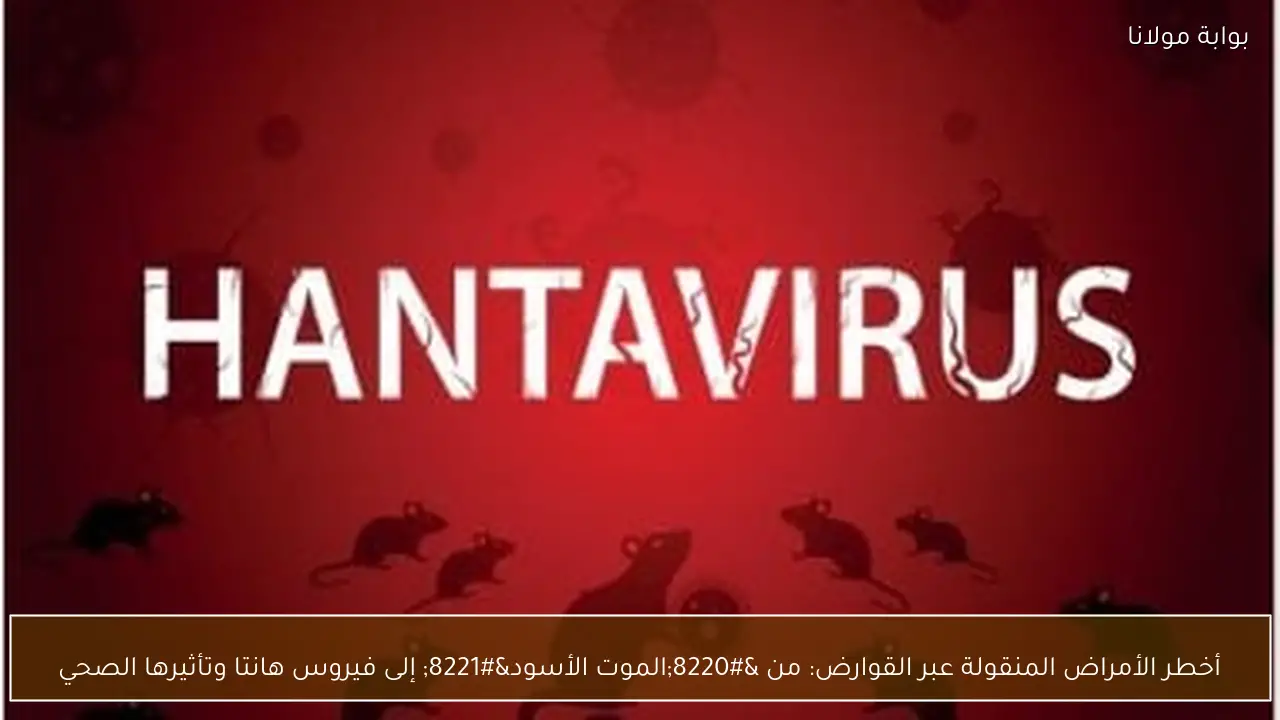 أخطر الأمراض المنقولة عبر القوارض: من “الموت الأسود” إلى فيروس هانتا وتأثيرها الصحي