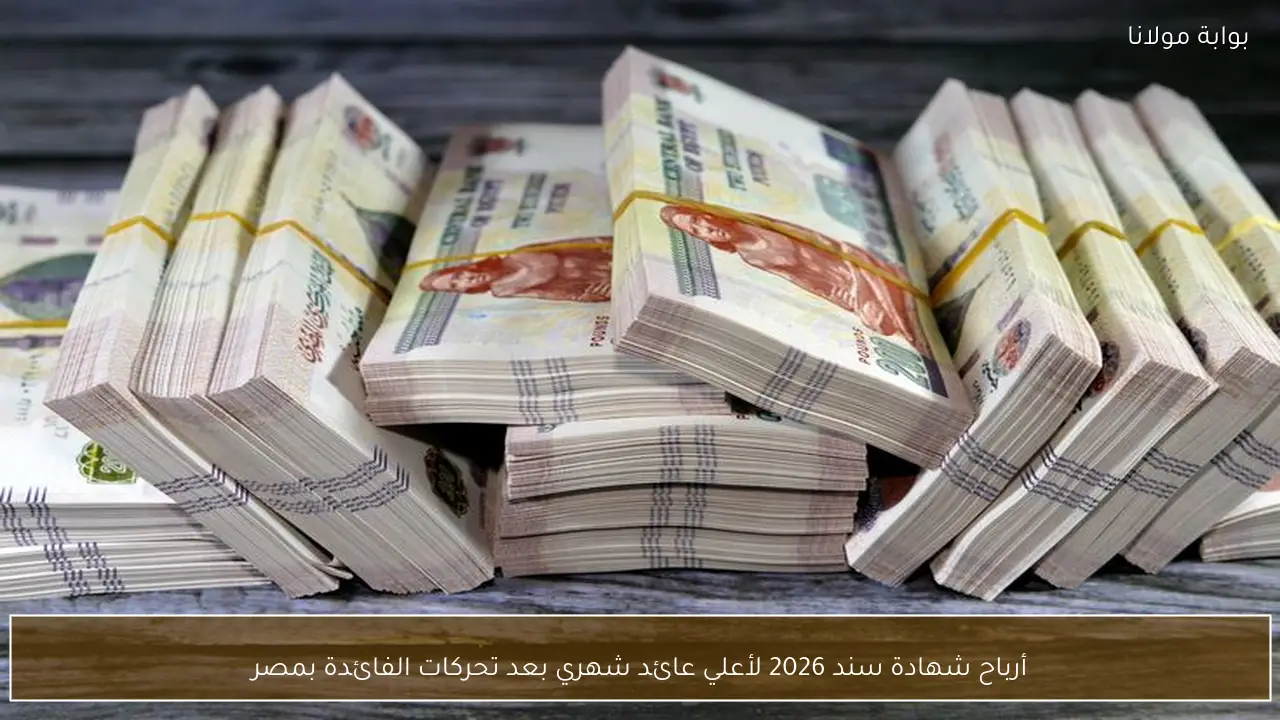 أرباح شهادة سند 2026 لأعلي عائد شهري بعد تحركات الفائدة بمصر