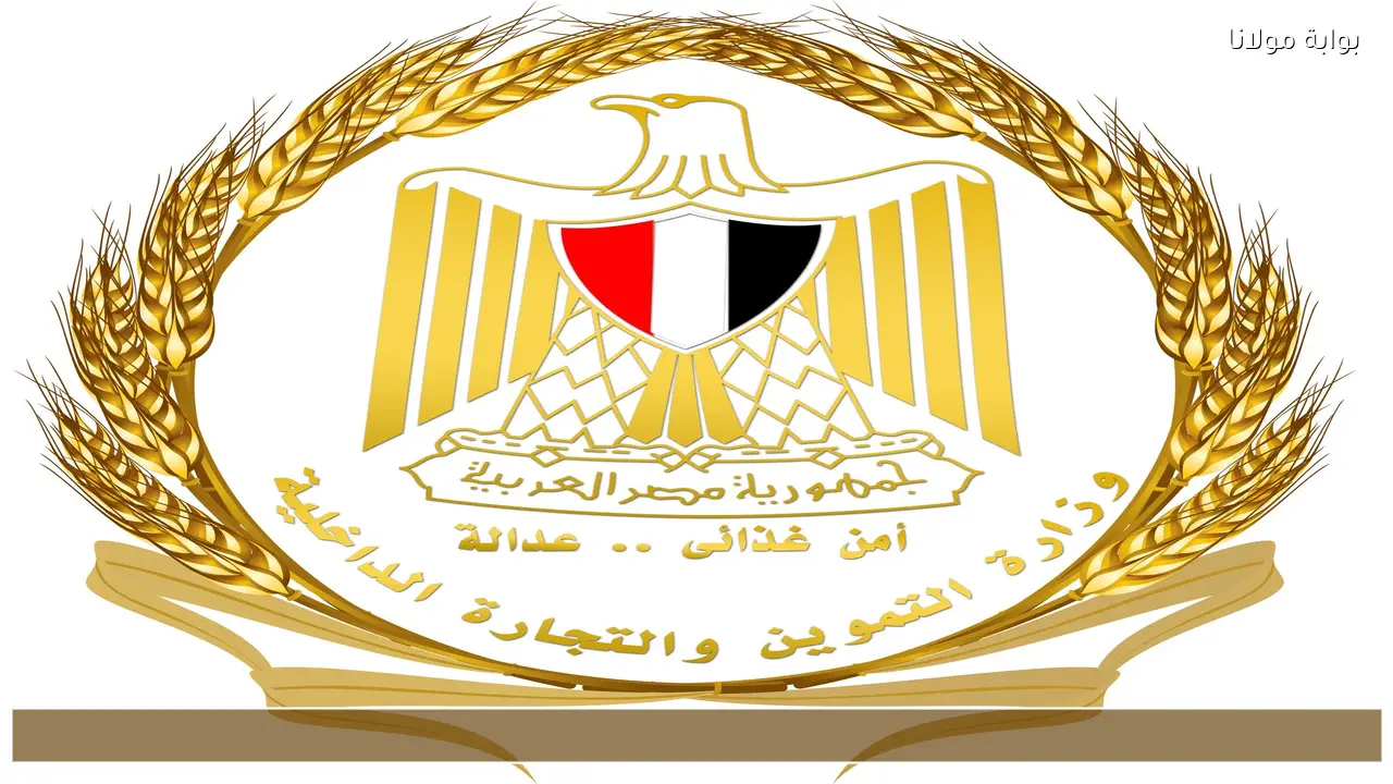 أسباب تجميد بطاقات التموين وآليات تحديث البيانات لإعادة تنشيطها حسب إعلان الوزارة