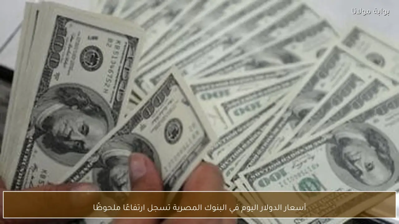 أسعار الدولار اليوم في البنوك المصرية تسجل ارتفاعًا ملحوظًا
