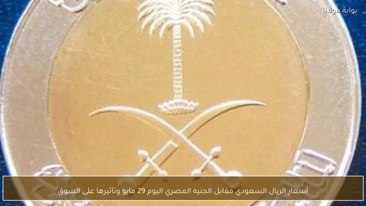 أسعار الريال السعودي مقابل الجنيه المصري اليوم 29 مايو وتأثيرها على السوق