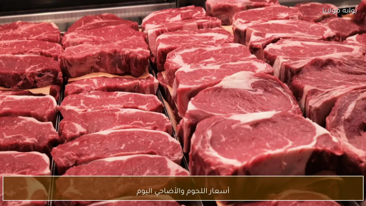 أسعار اللحوم والأضاحي اليوم .. آخر المستجدات قبل عيد الأضحى 2026