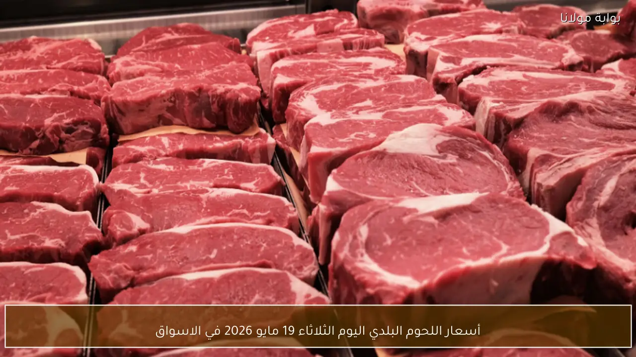 أسعار اللحوم البلدي اليوم الثلاثاء 19 مايو 2026 في الاسواق