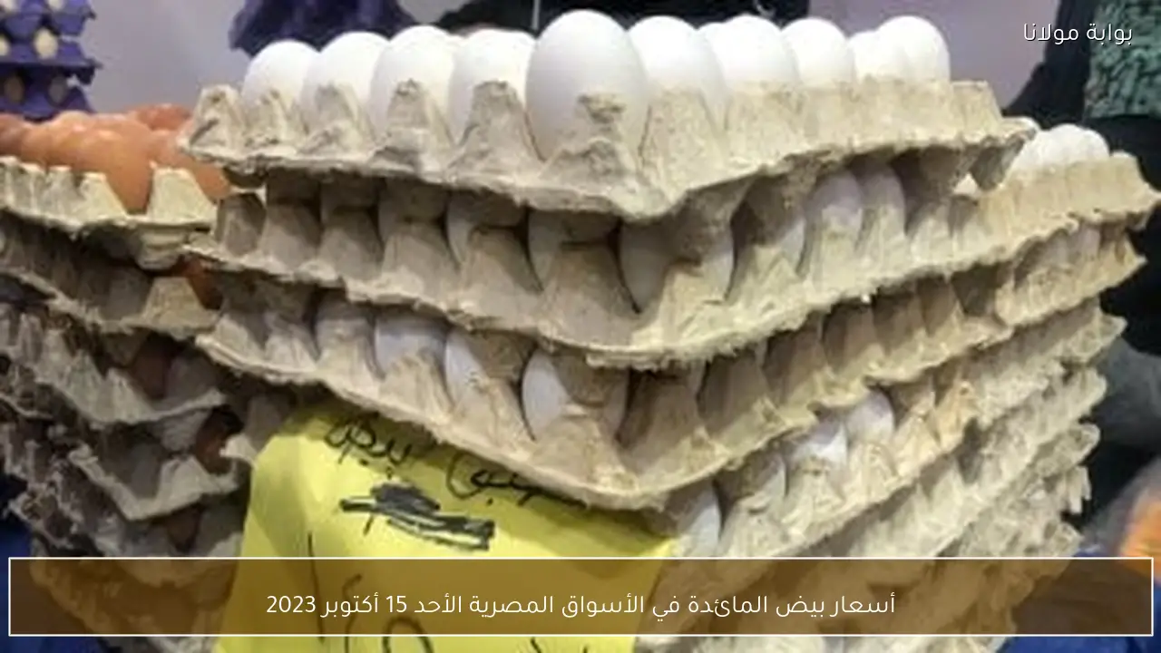 أسعار بيض المائدة في الأسواق المصرية الأحد 15 أكتوبر 2023