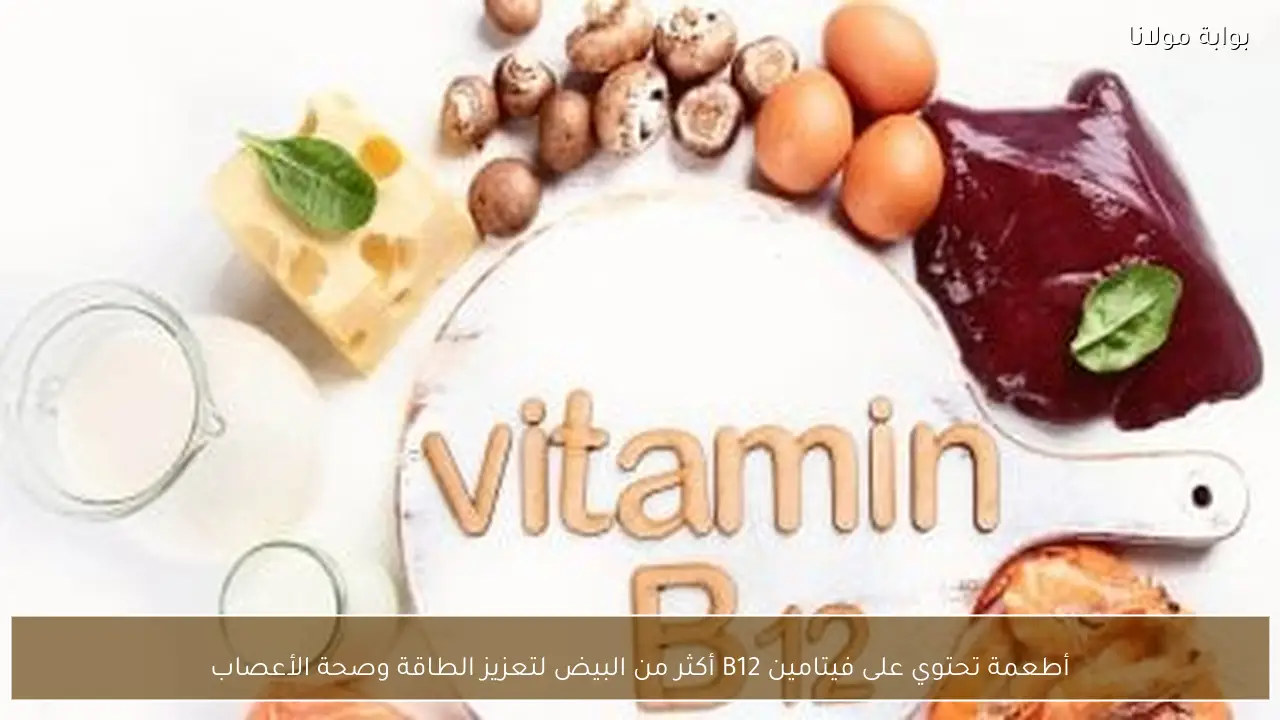 أطعمة تحتوي على فيتامين B12 أكثر من البيض لتعزيز الطاقة وصحة الأعصاب