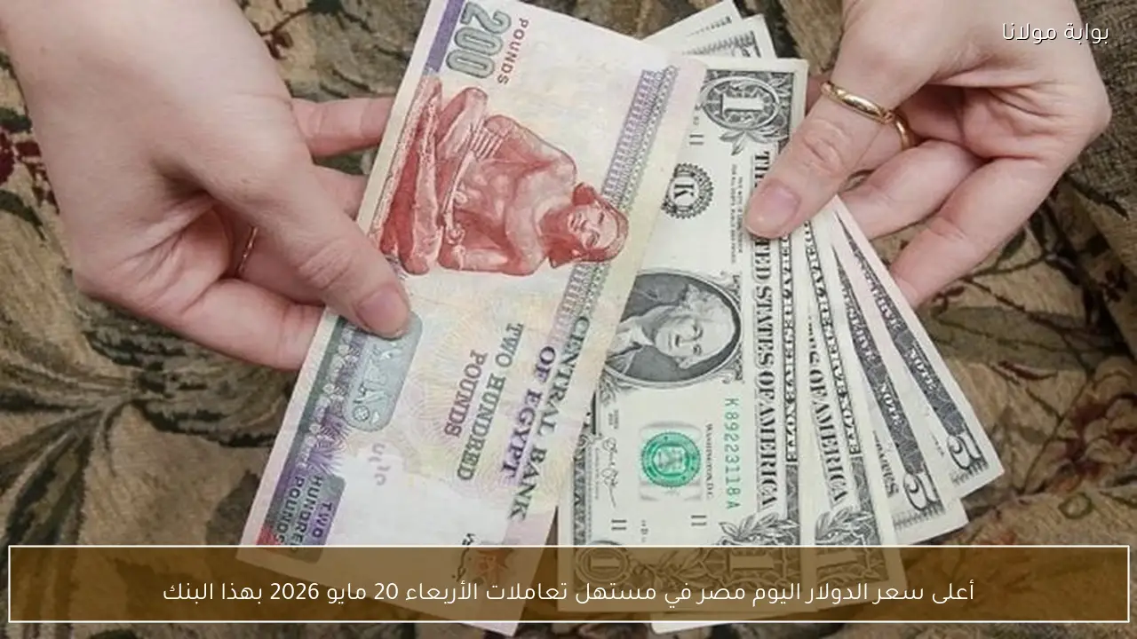 أعلى سعر الدولار اليوم مصر في مستهل تعاملات الأربعاء 20 مايو 2026 بهذا البنك