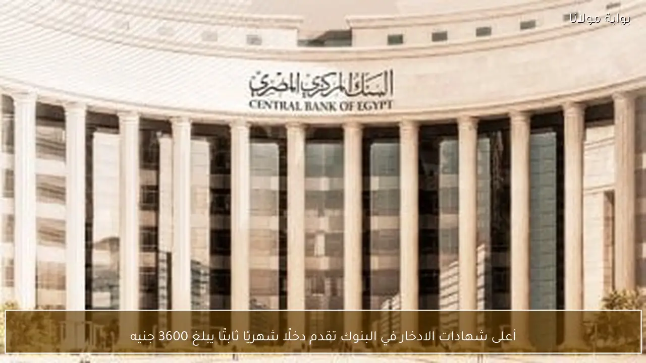 أعلى شهادات الادخار في البنوك تقدم دخلًا شهريًا ثابتًا يبلغ 3600 جنيه