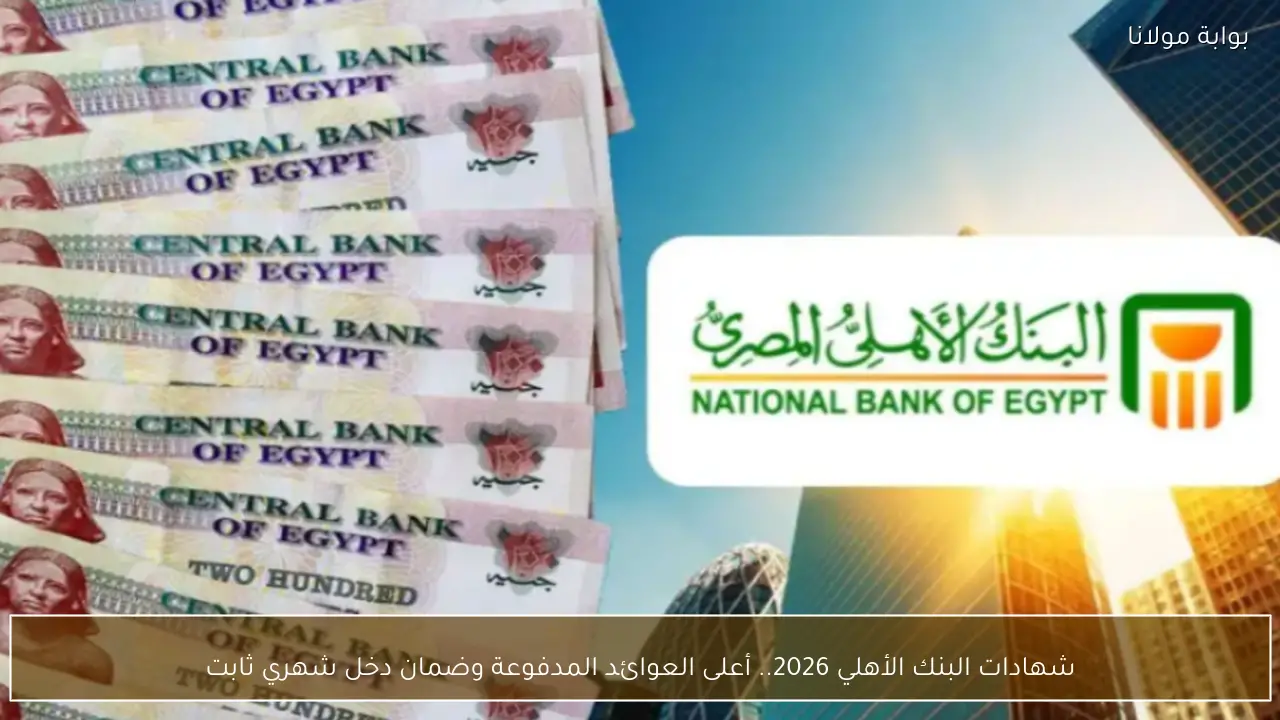 شهادات البنك الأهلي 2026.. أعلى العوائد المدفوعة وضمان دخل شهري ثابت