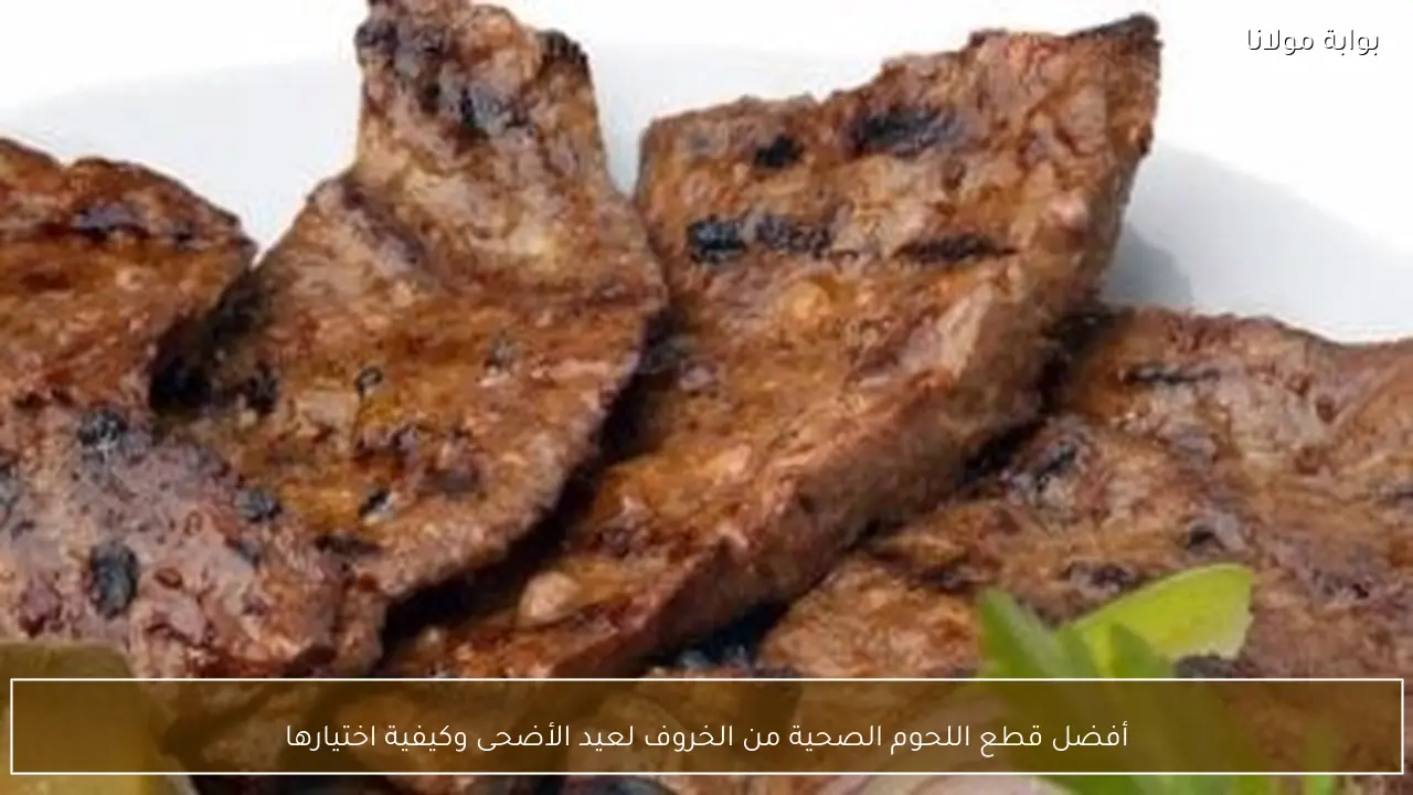 أفضل قطع اللحوم الصحية من الخروف لعيد الأضحى وكيفية اختيارها