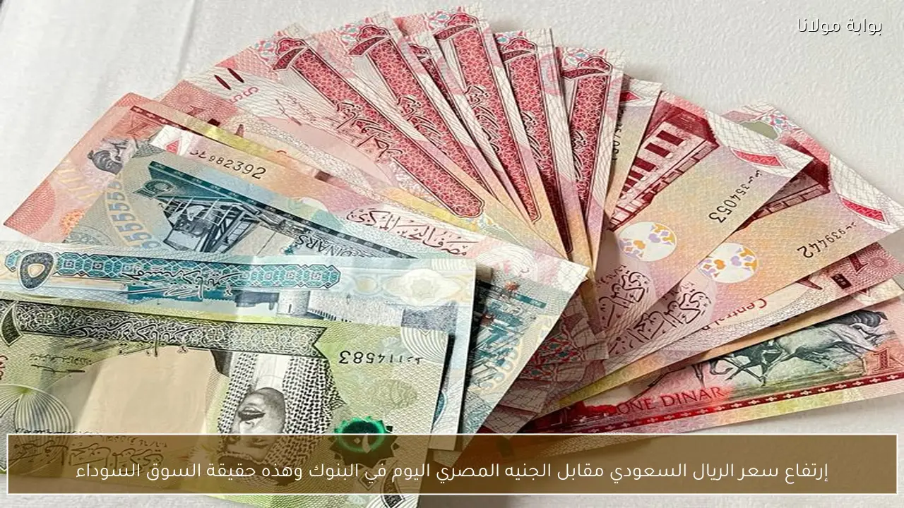 إرتفاع سعر الريال السعودي مقابل الجنيه المصري اليوم في البنوك وهذه حقيقة السوق السوداء
