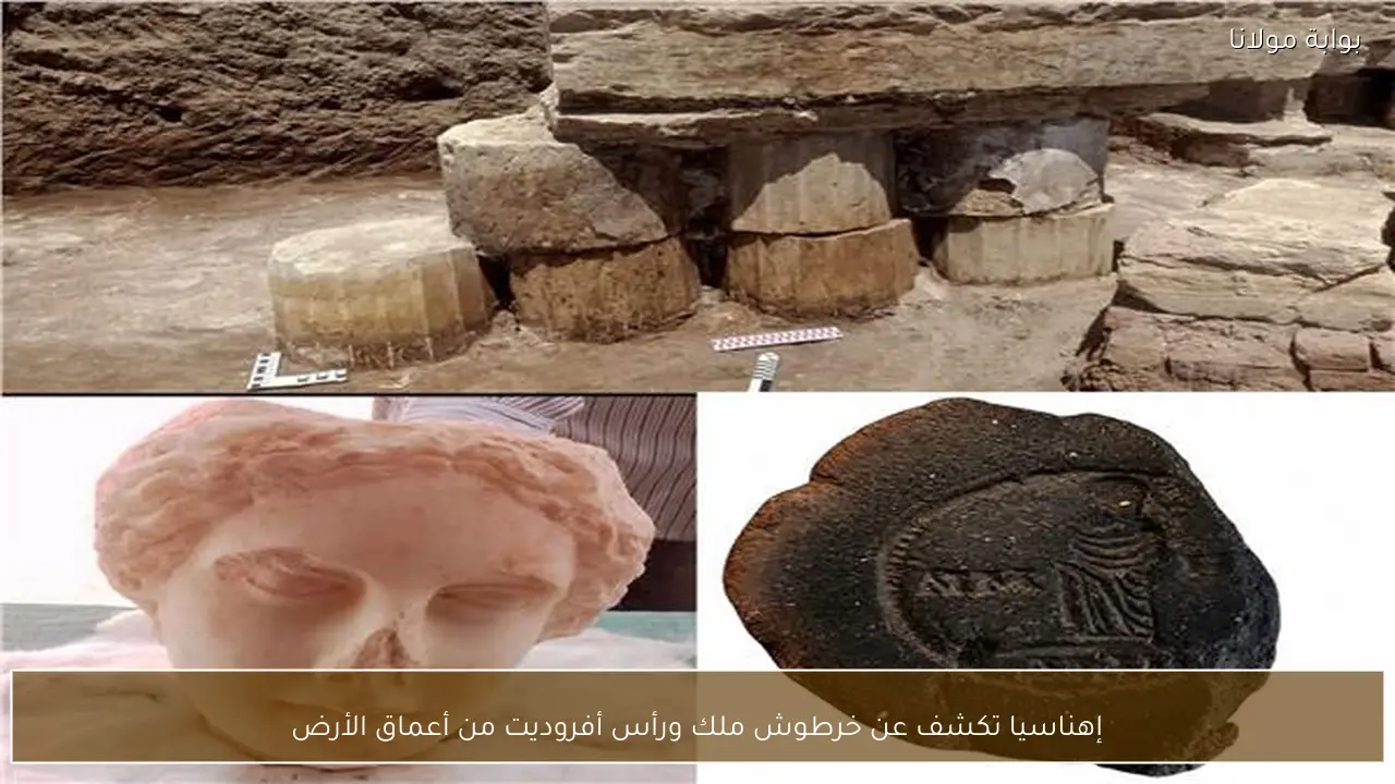 إهناسيا تكشف عن خرطوش ملك ورأس أفروديت من أعماق الأرض