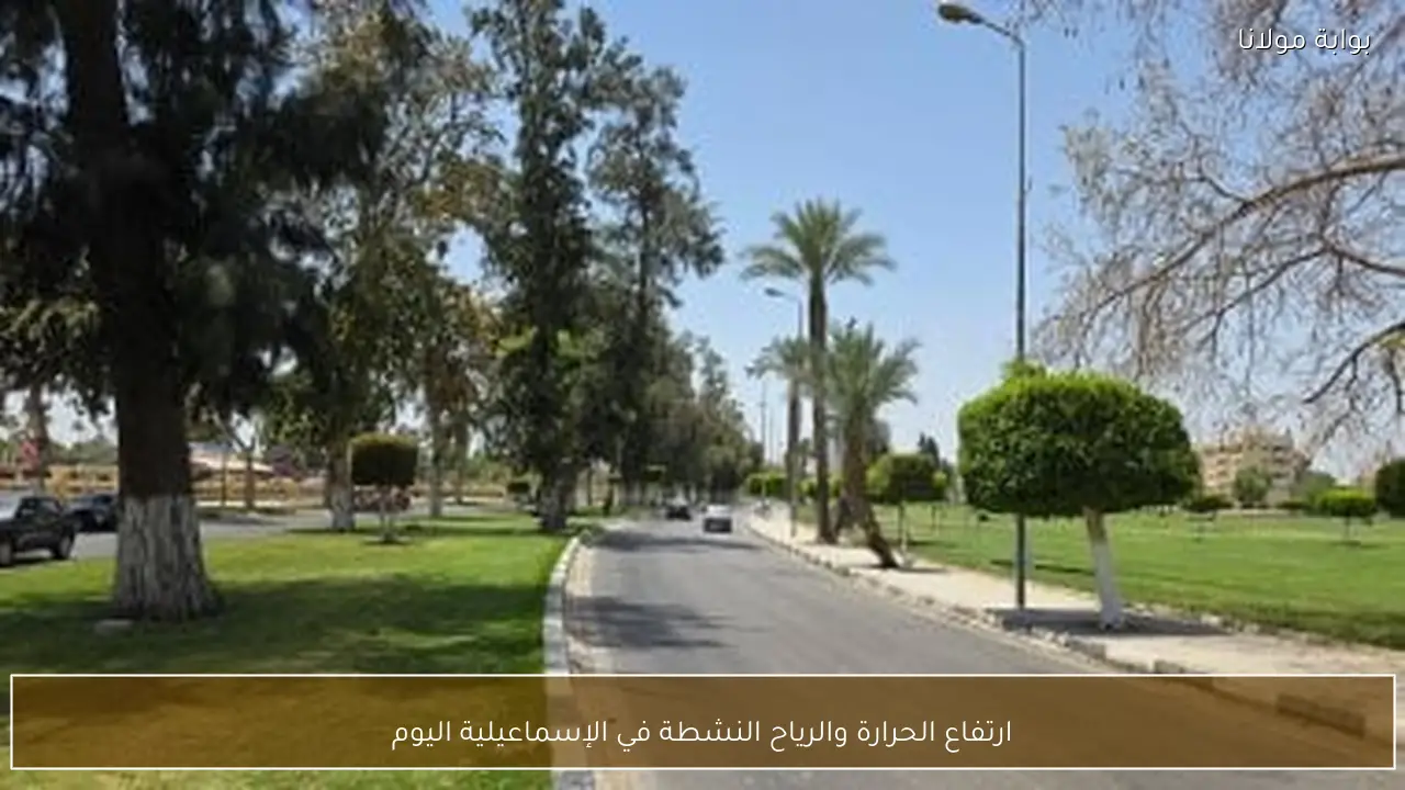 ارتفاع الحرارة والرياح النشطة في الإسماعيلية اليوم