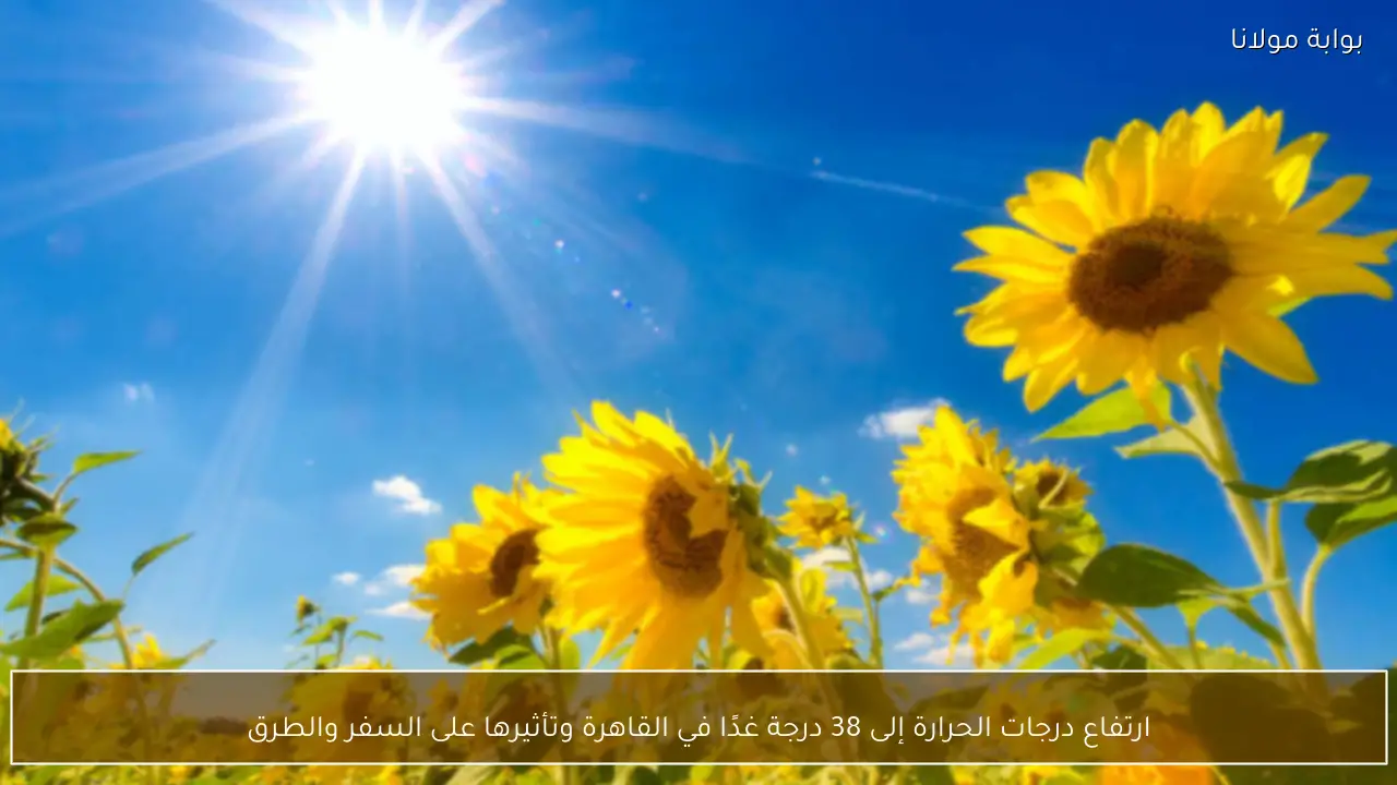 ارتفاع درجات الحرارة إلى 38 درجة غدًا في القاهرة وتأثيرها على السفر والطرق