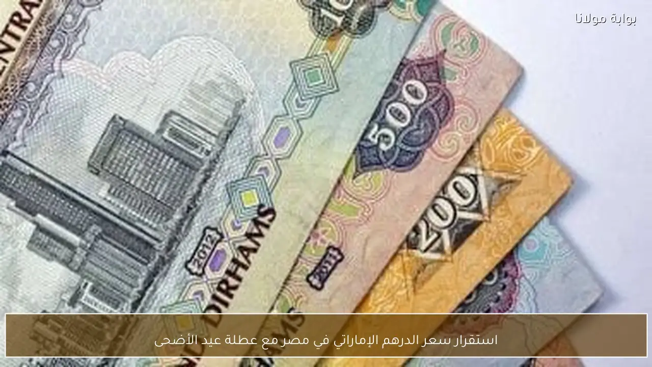 استقرار سعر الدرهم الإماراتي في مصر مع عطلة عيد الأضحى