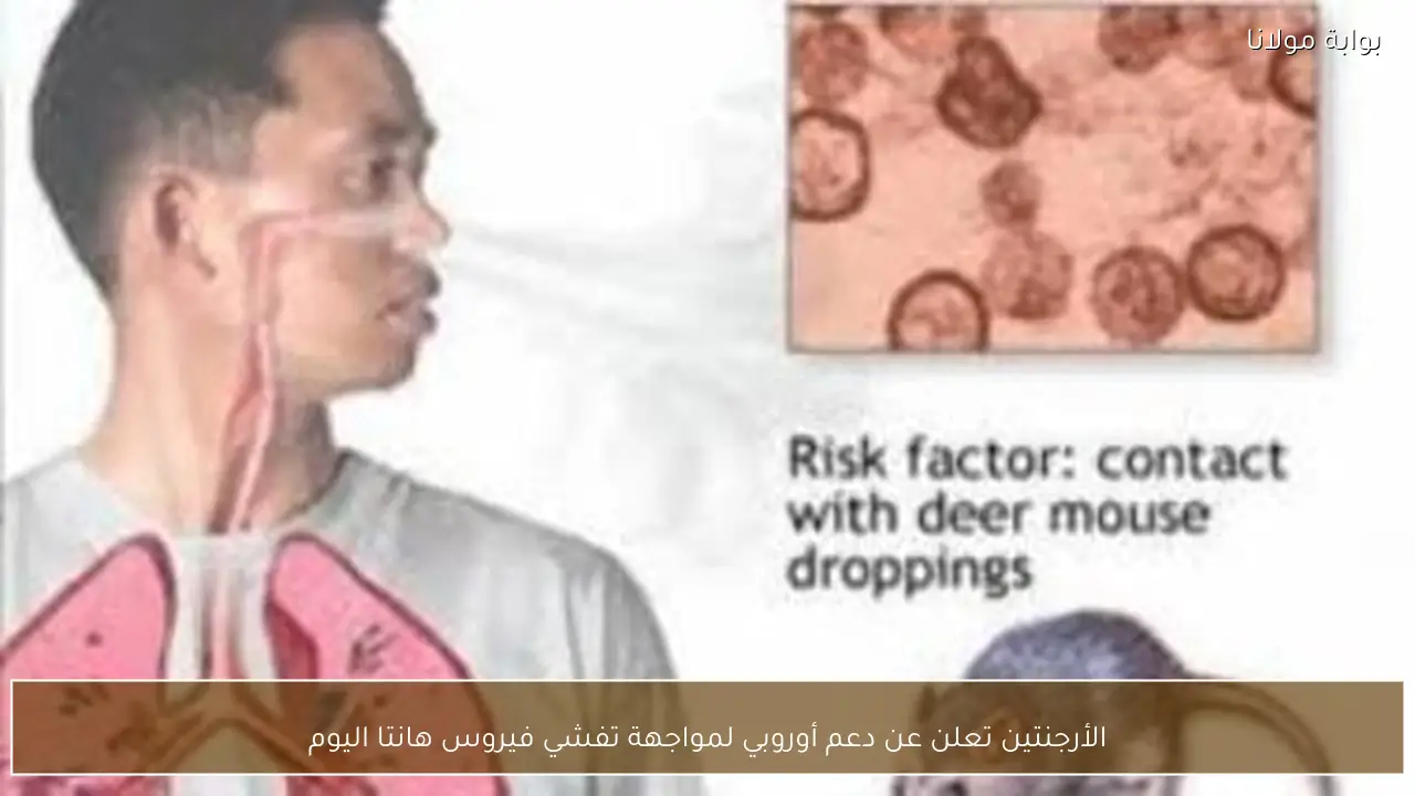 الأرجنتين تعلن عن دعم أوروبي لمواجهة تفشي فيروس هانتا اليوم