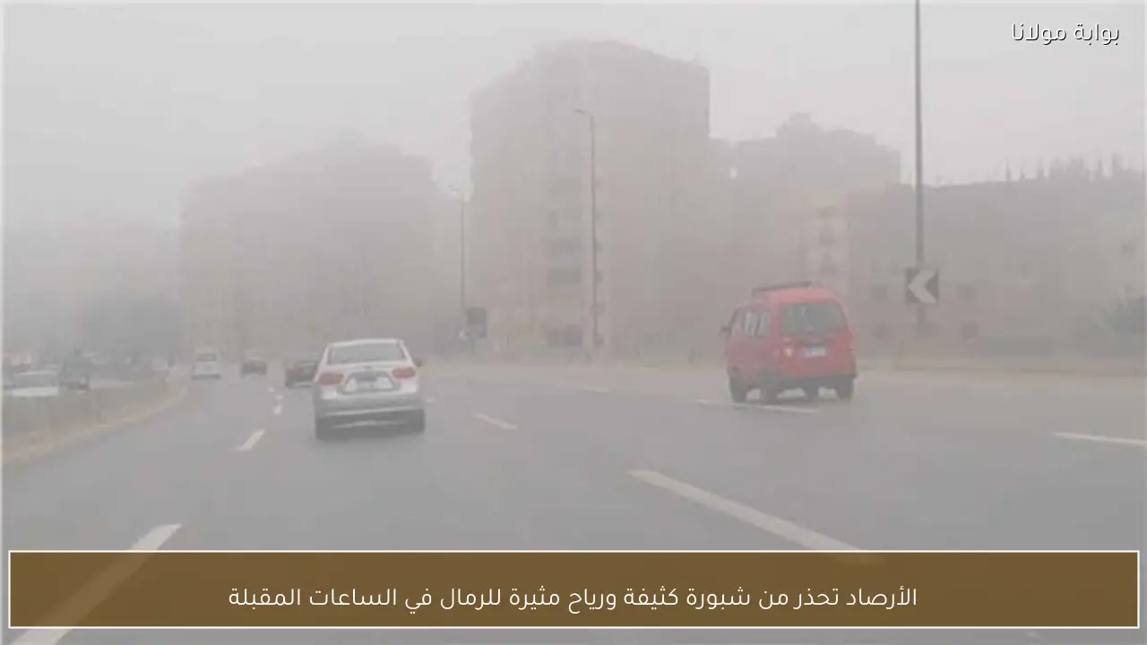 الأرصاد تحذر من شبورة كثيفة ورياح مثيرة للرمال في الساعات المقبلة