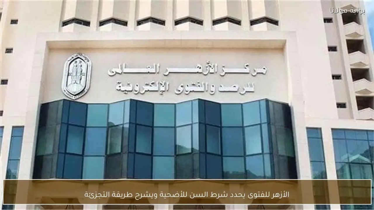 الأزهر للفتوى يحدد شرط السن للأضحية ويشرح طريقة التجزئة