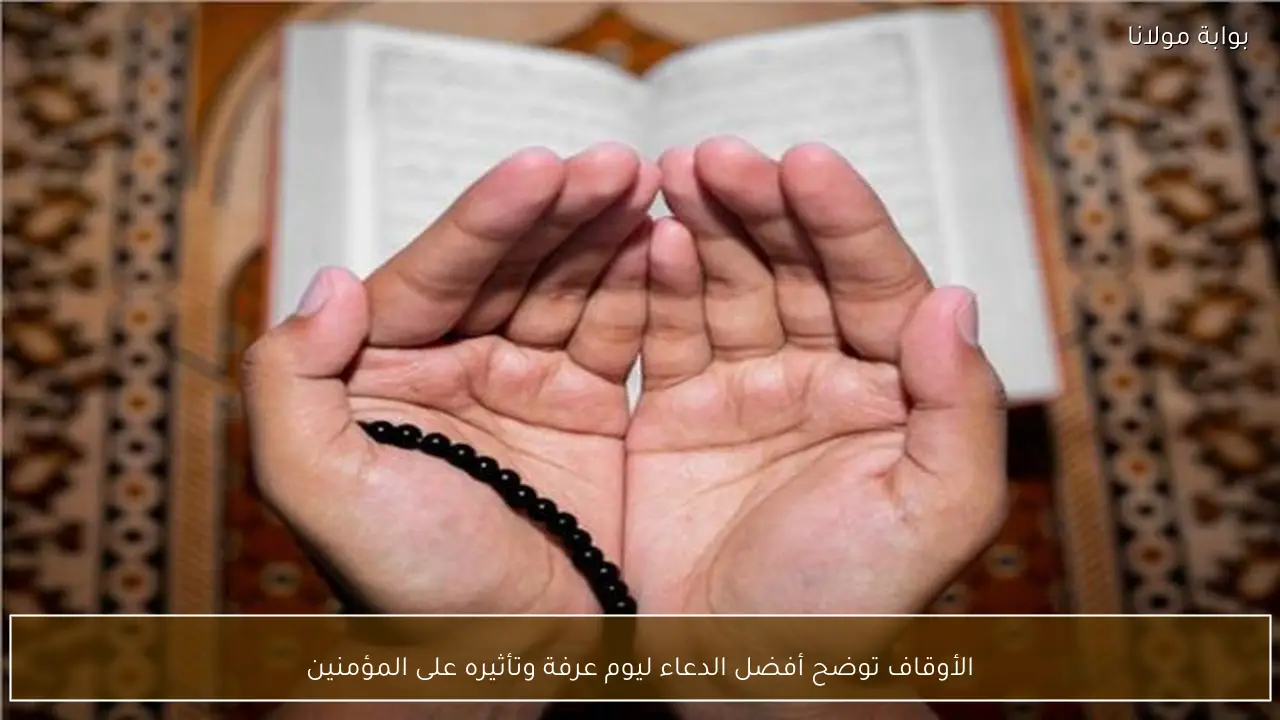 الأوقاف توضح أفضل الدعاء ليوم عرفة وتأثيره على المؤمنين