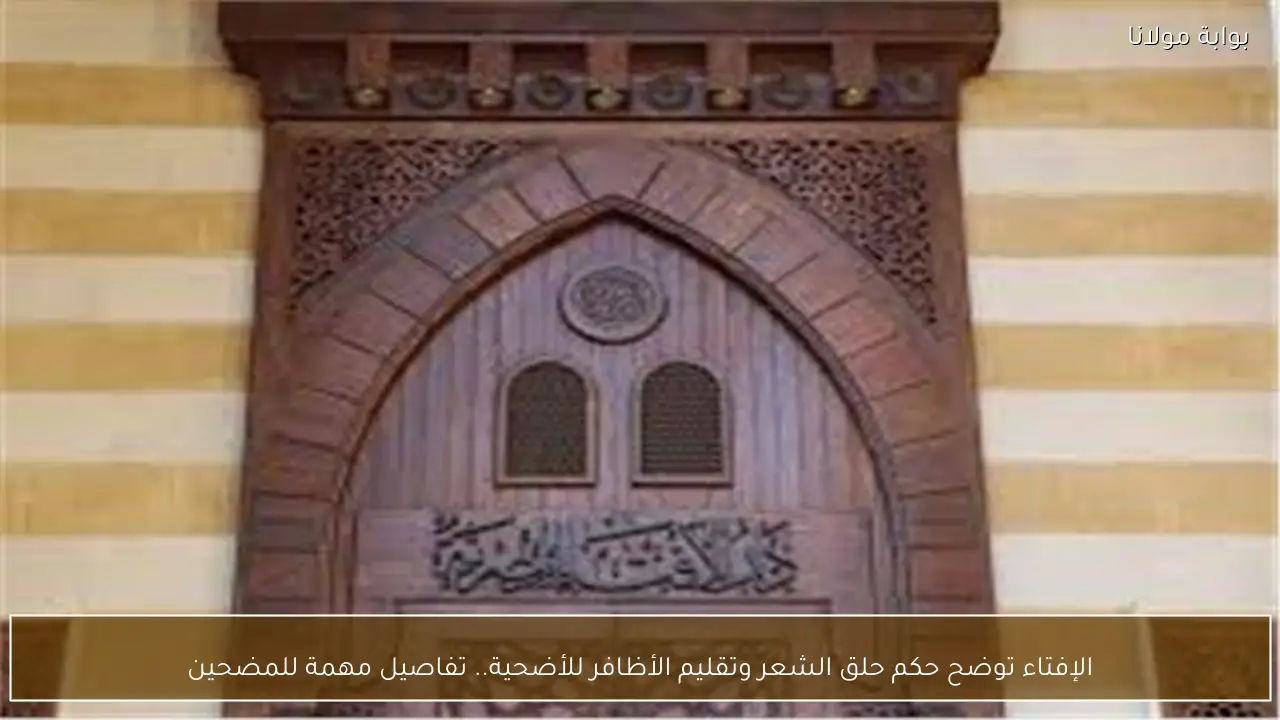 الإفتاء توضح حكم حلق الشعر وتقليم الأظافر للأضحية.. تفاصيل مهمة للمضحين