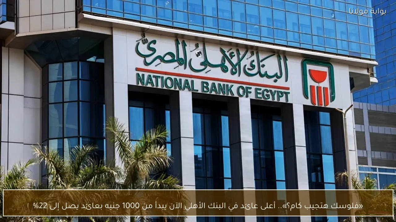 «فلوسك هتجيب كام؟».. أعلى عائد في البنك الأهلي الآن يبدأ من 1000 جنيه بعائد يصل إلى 22%