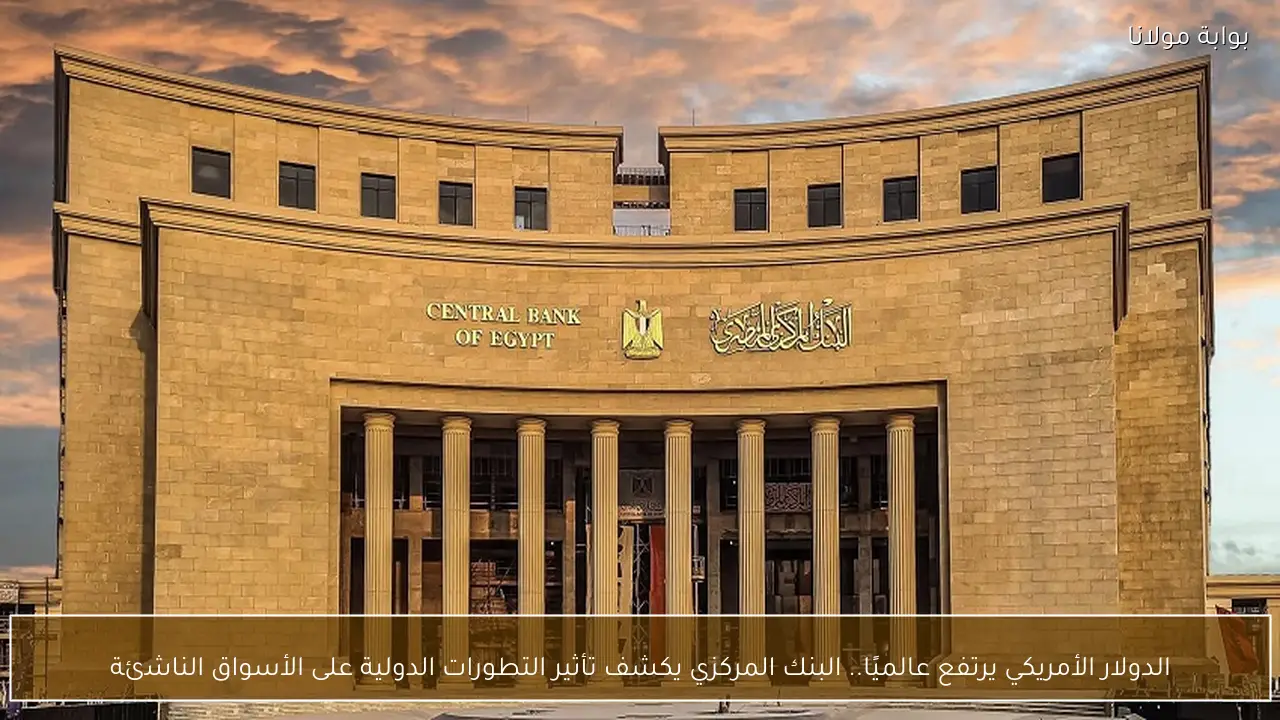 الدولار الأمريكي يرتفع عالميًا.. البنك المركزي يكشف تأثير التطورات الدولية على الأسواق الناشئة