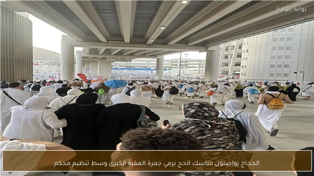 الحجاج يواصلون مناسك الحج برمي جمرة العقبة الكبرى وسط تنظيم محكم