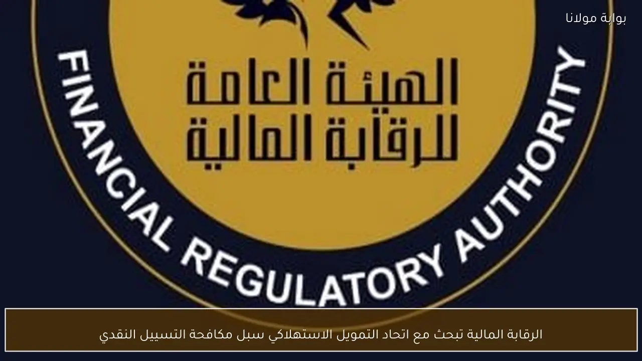 الرقابة المالية تبحث مع اتحاد التمويل الاستهلاكي سبل مكافحة التسييل النقدي