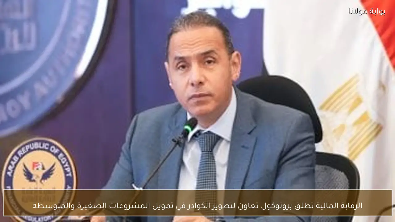الرقابة المالية تطلق بروتوكول تعاون لتطوير الكوادر في تمويل المشروعات الصغيرة والمتوسطة