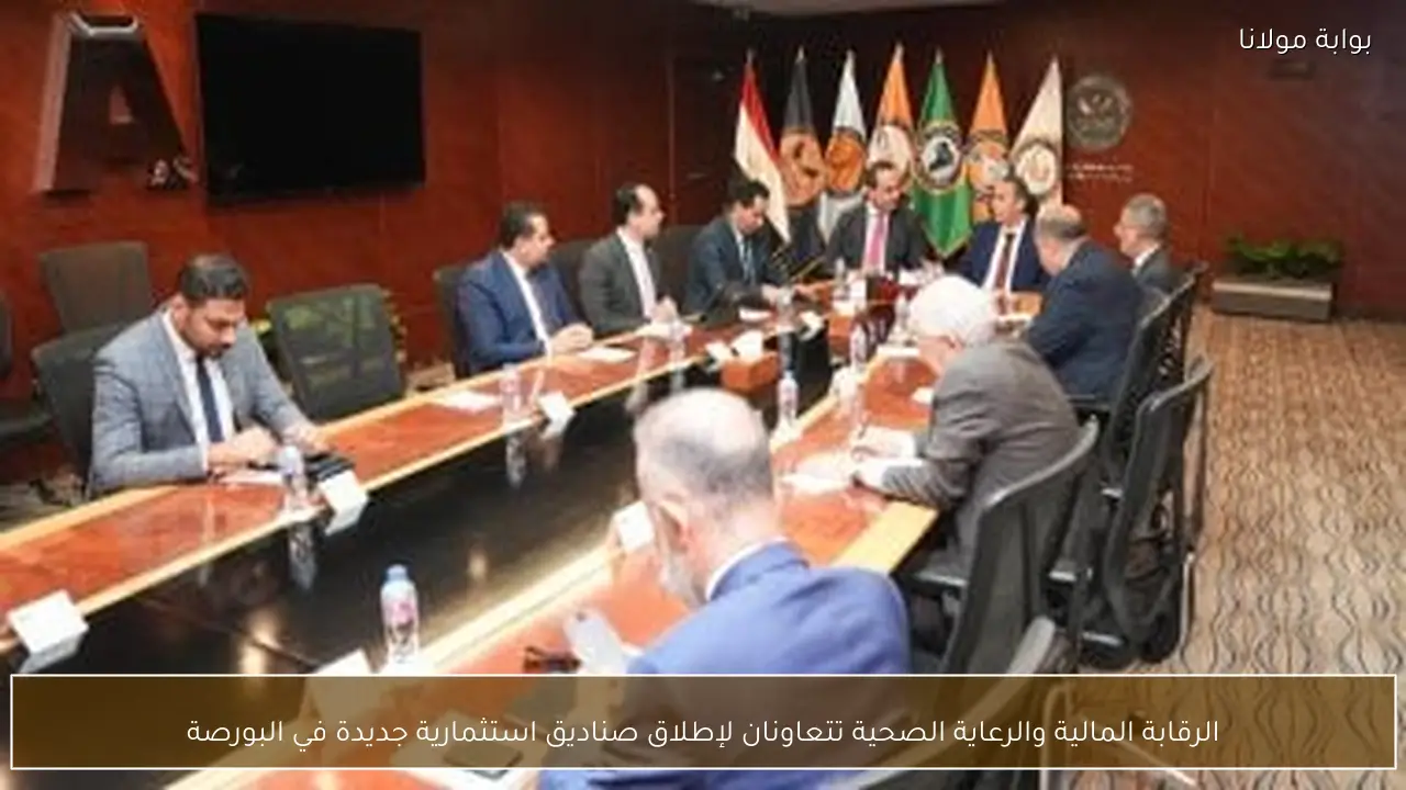 الرقابة المالية والرعاية الصحية تتعاونان لإطلاق صناديق استثمارية جديدة في البورصة