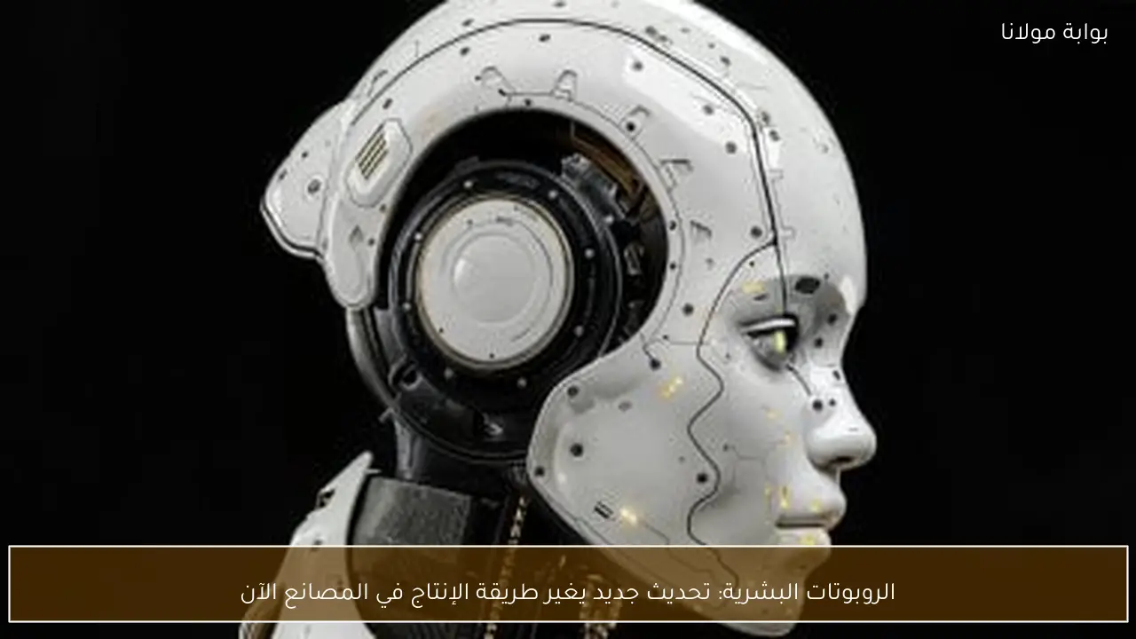 الروبوتات البشرية: تحديث جديد يغير طريقة الإنتاج في المصانع الآن