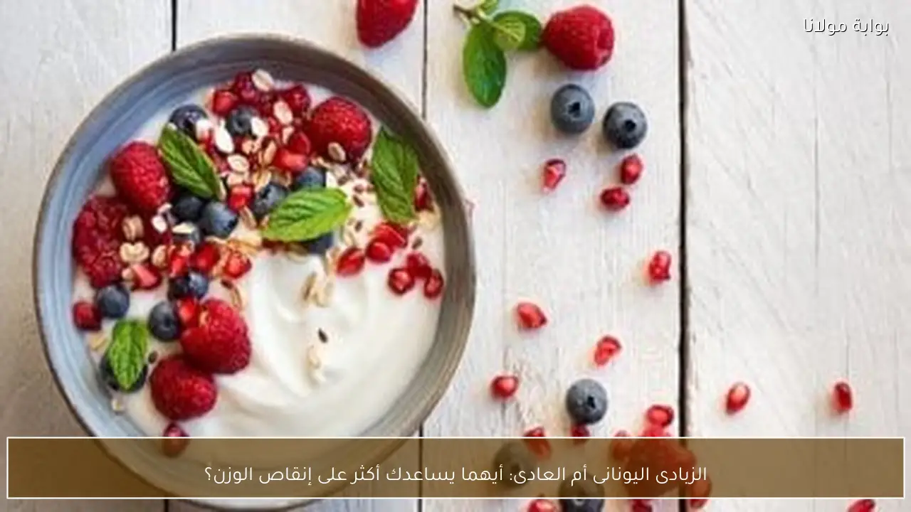 الزبادى اليونانى أم العادى: أيهما يساعدك أكثر على إنقاص الوزن؟