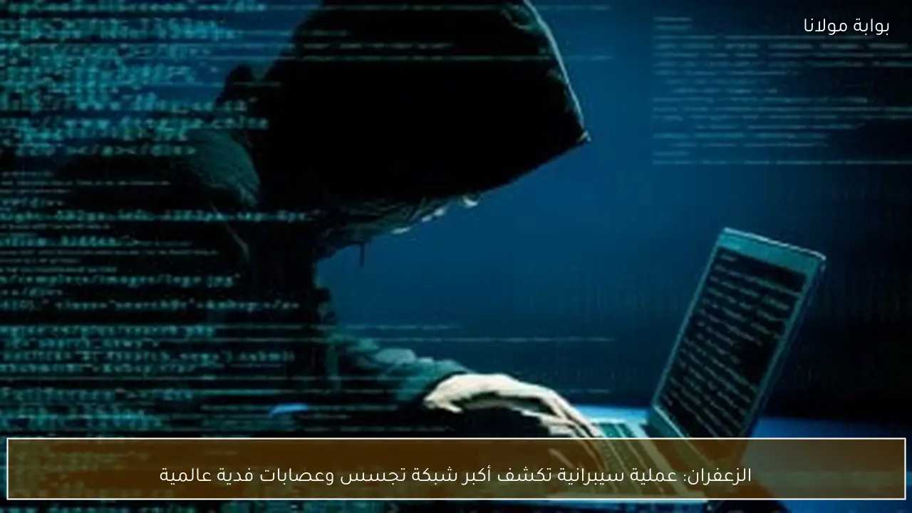 الزعفران: عملية سيبرانية تكشف أكبر شبكة تجسس وعصابات فدية عالمية