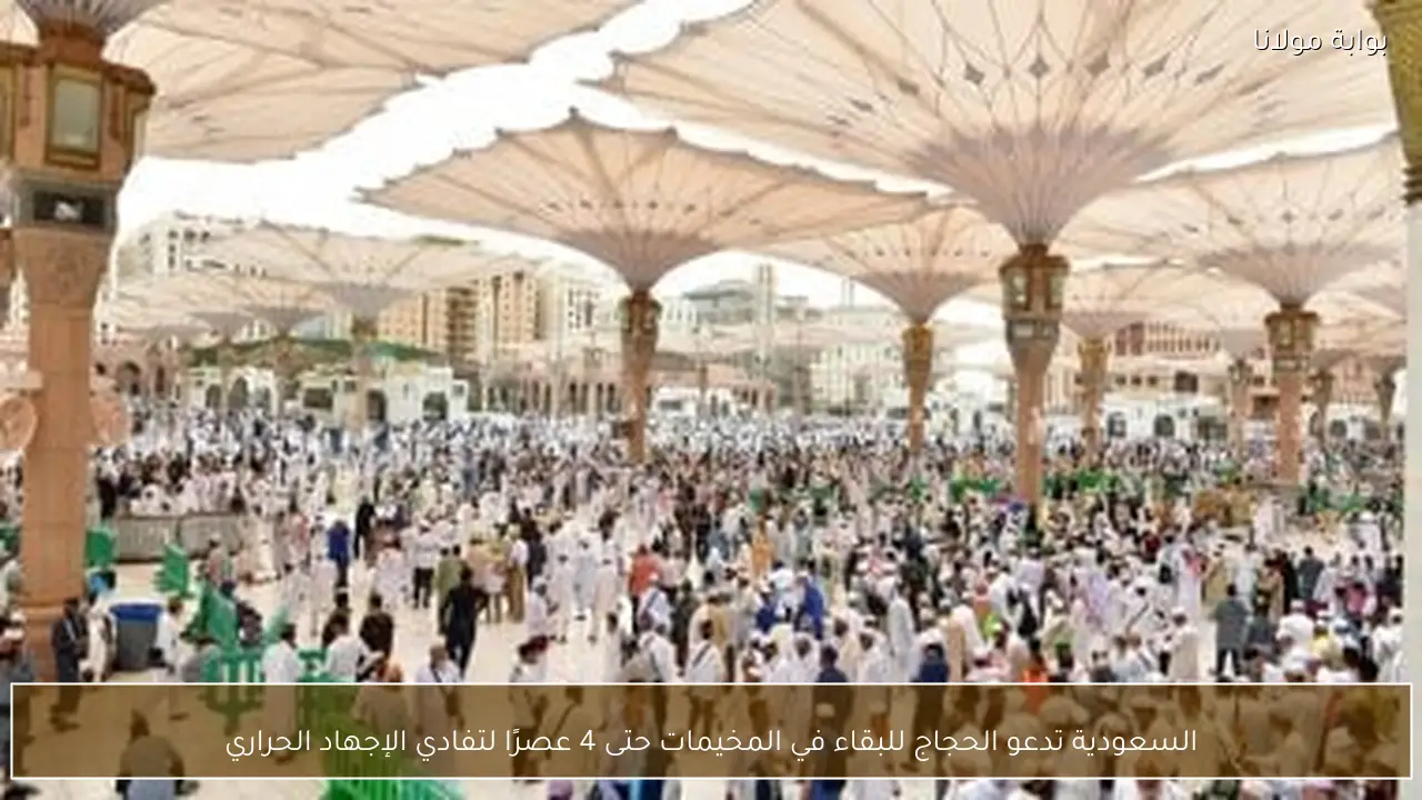 السعودية تدعو الحجاج للبقاء في المخيمات حتى 4 عصرًا لتفادي الإجهاد الحراري
