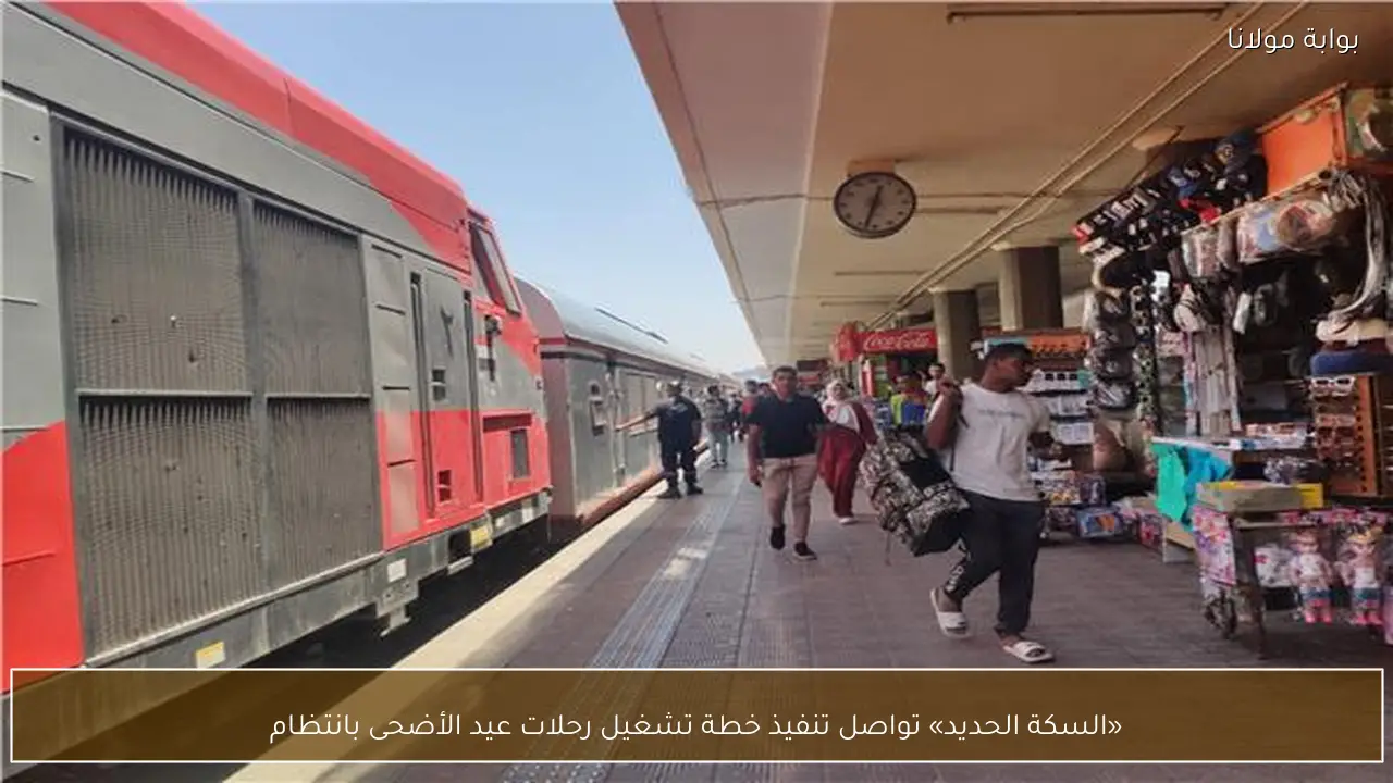 «السكة الحديد» تواصل تنفيذ خطة تشغيل رحلات عيد الأضحى بانتظام