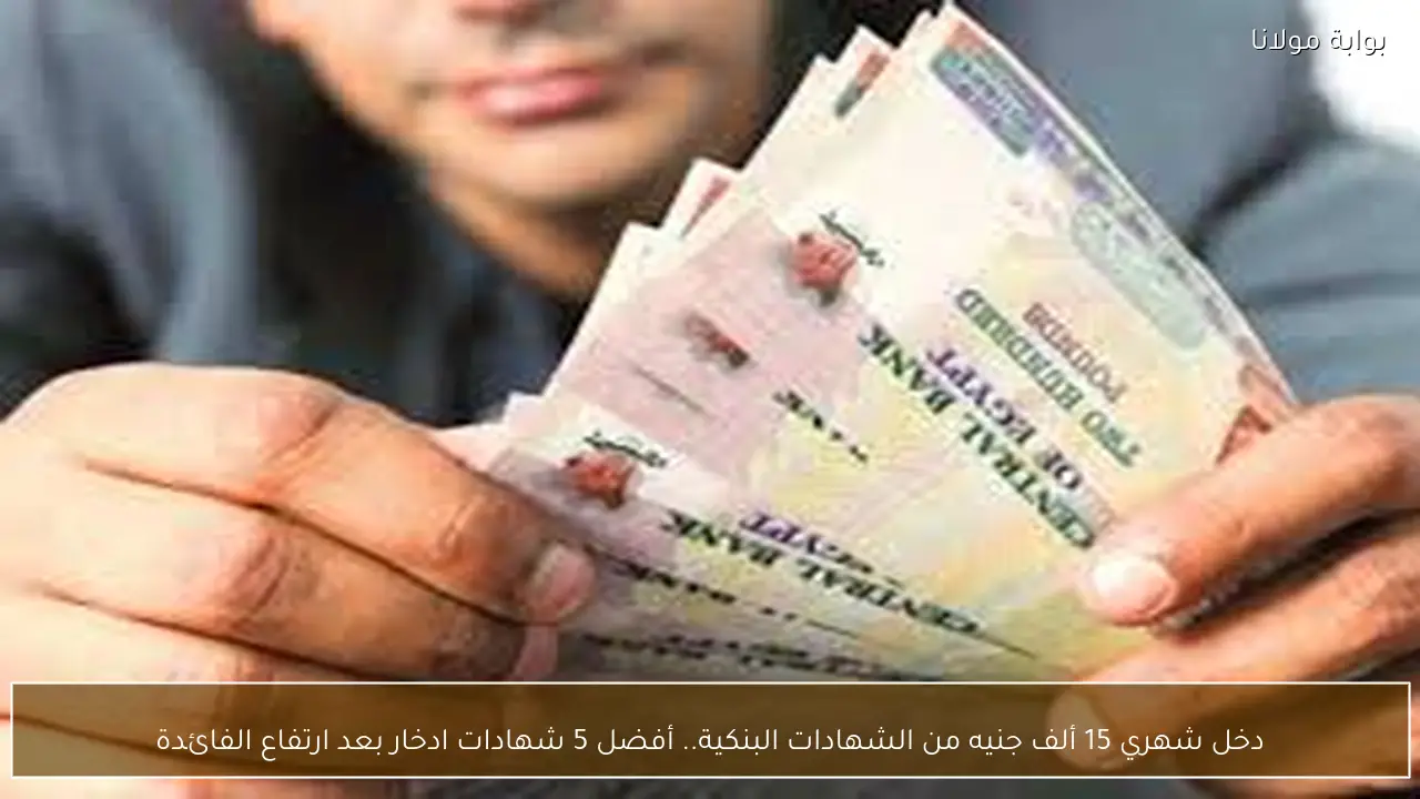 دخل شهري 15 ألف جنيه من الشهادات البنكية.. أفضل 5 شهادات ادخار بعد ارتفاع الفائدة